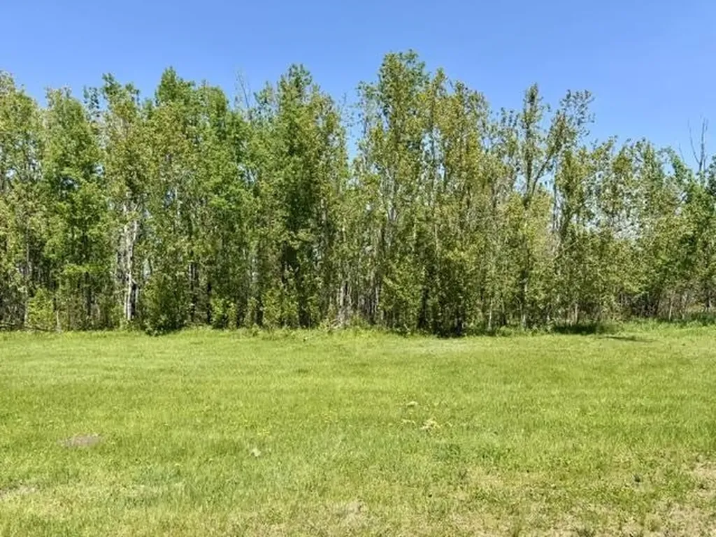 V/l Paradise Lane Carp Lake Township MI 49755