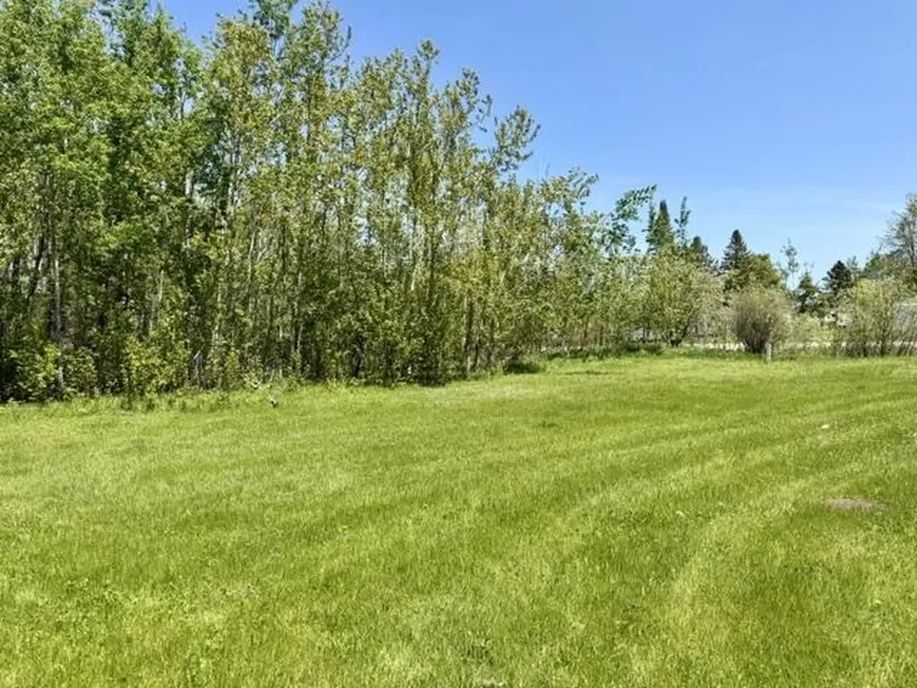 V/l Paradise Lane Carp Lake Township MI 49755