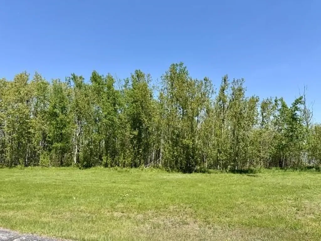 V/l Paradise Lane Carp Lake Township MI 49755