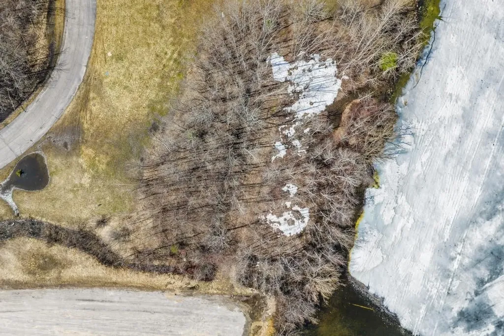 V/l Paradise Lane Carp Lake Township MI 49755