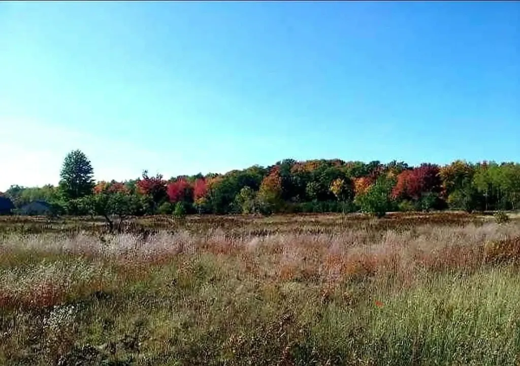 3955 W Crofton Road, SW Boardman Township MI 49680