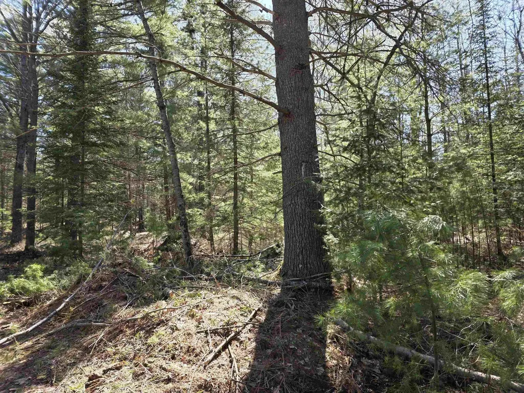 7299 N Truesdale Road Bloomfield Township MI 49633