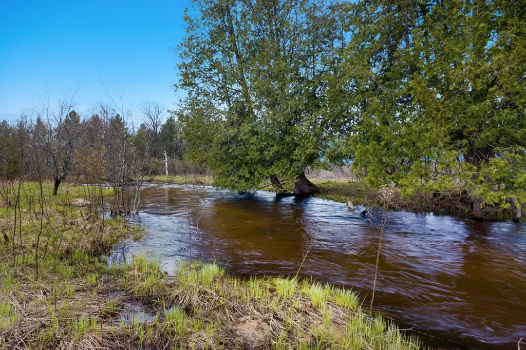 7578 S River Road SW Kalkaska Township MI 49646