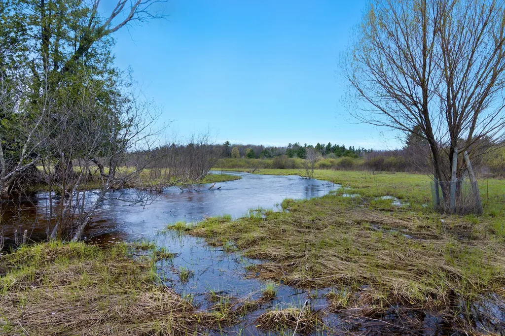 7578 S River Road SW Kalkaska Township MI 49646