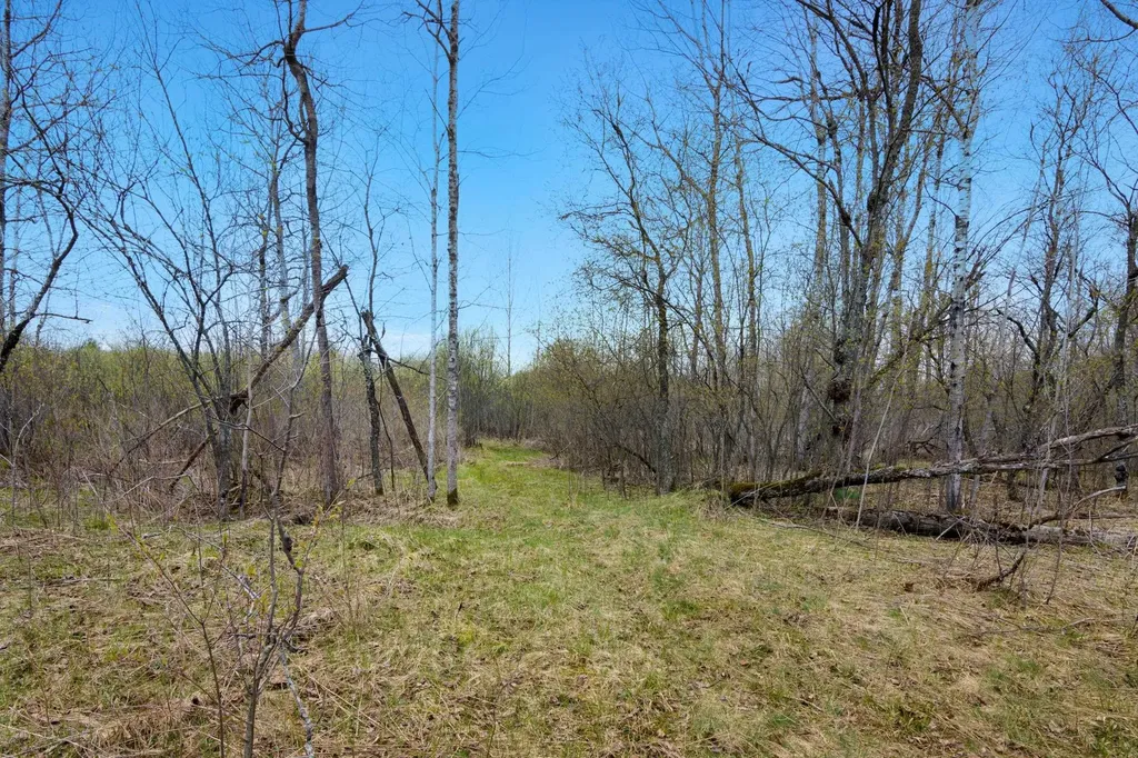 7578 S River Road SW Kalkaska Township MI 49646