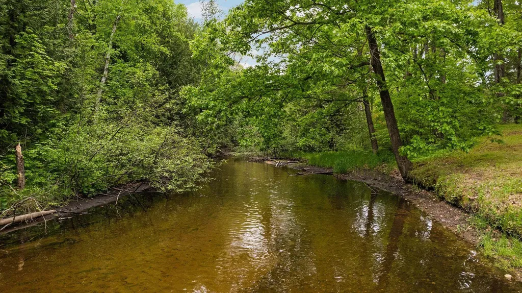8415 W Workman Road Lake Township MI 49651