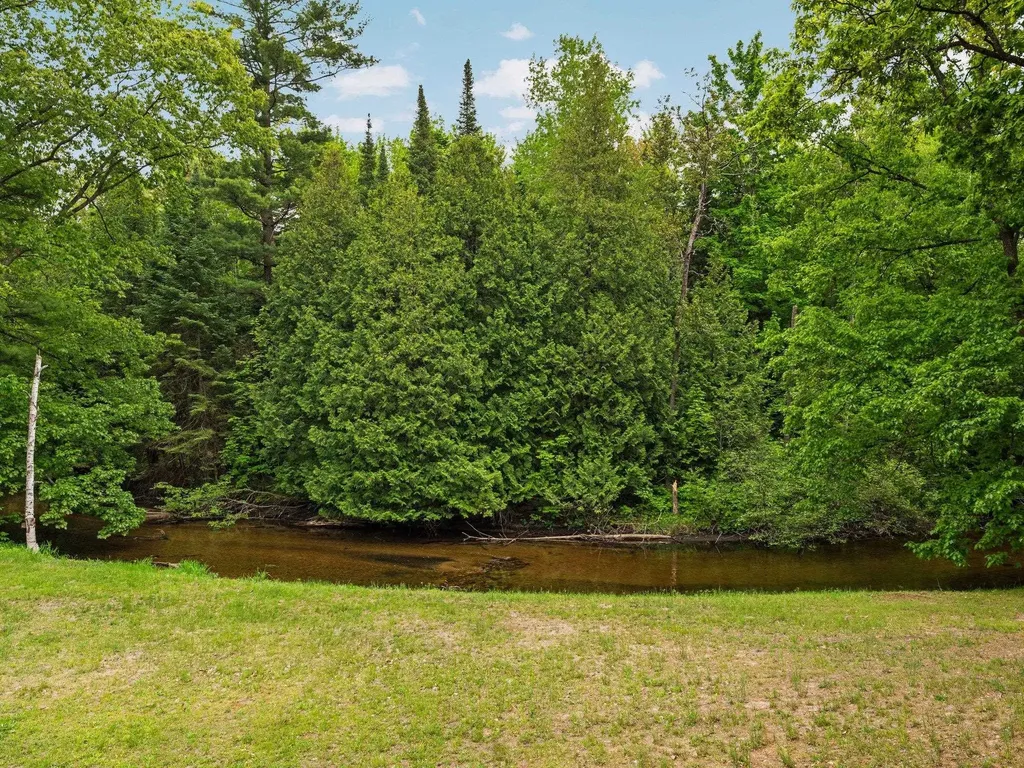 8415 W Workman Road Lake Township MI 49651