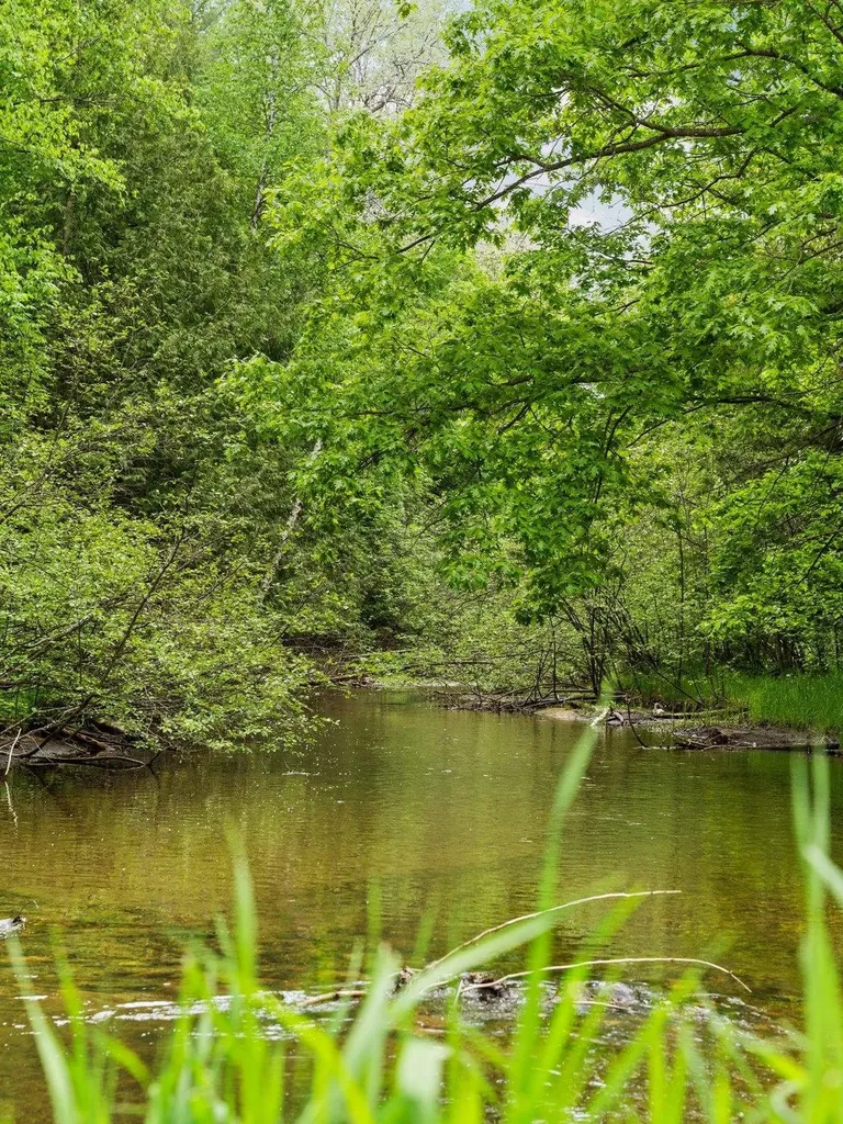 8415 W Workman Road Lake Township MI 49651