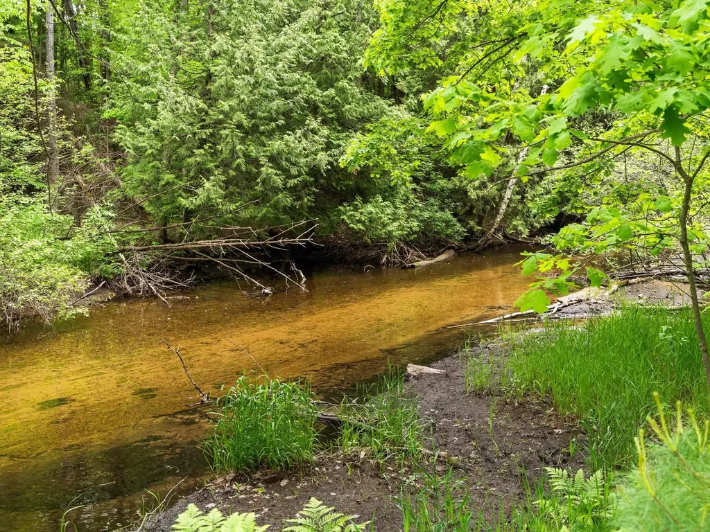 8415 W Workman Road Lake Township MI 49651