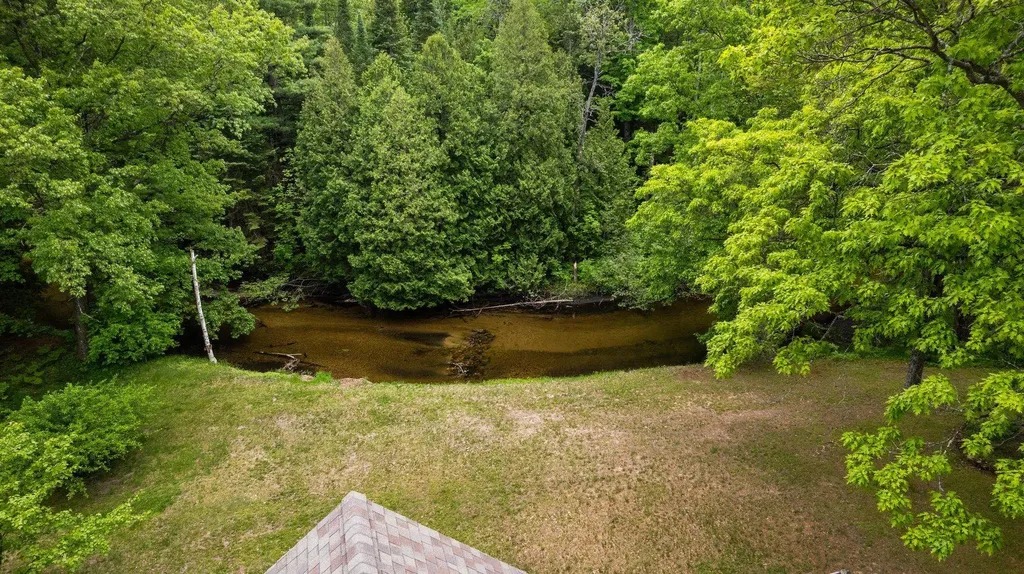 8415 W Workman Road Lake Township MI 49651