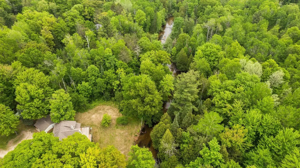 8415 W Workman Road Lake Township MI 49651