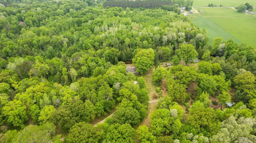 8415 W Workman Road Lake Township MI 49651