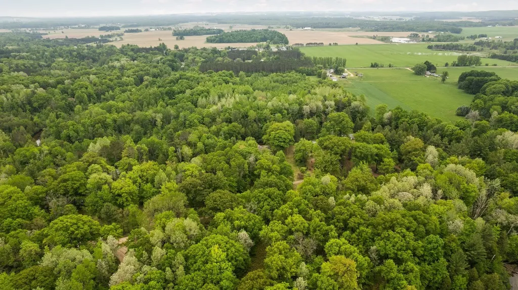 8415 W Workman Road Lake Township MI 49651