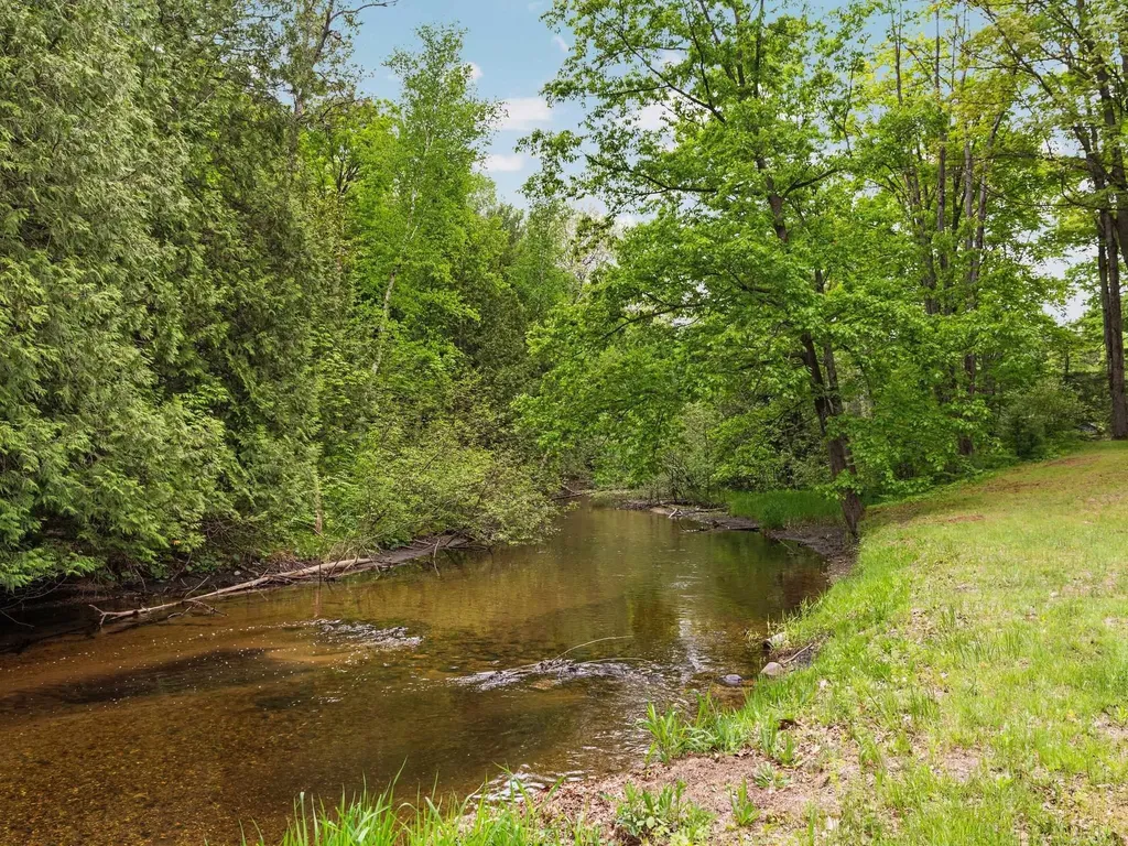 8415 W Workman Road Lake Township MI 49651