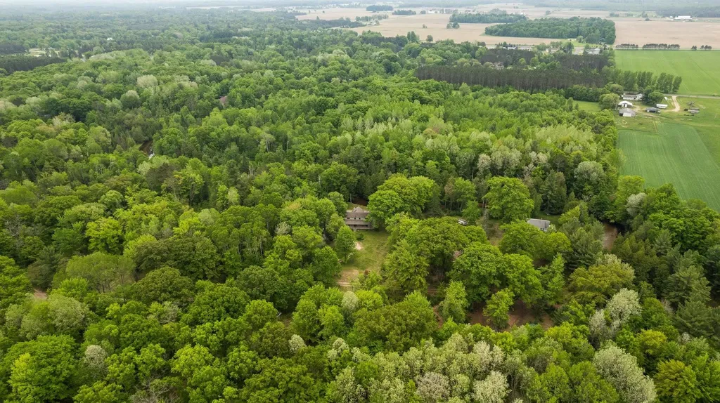8415 W Workman Road Lake Township MI 49651