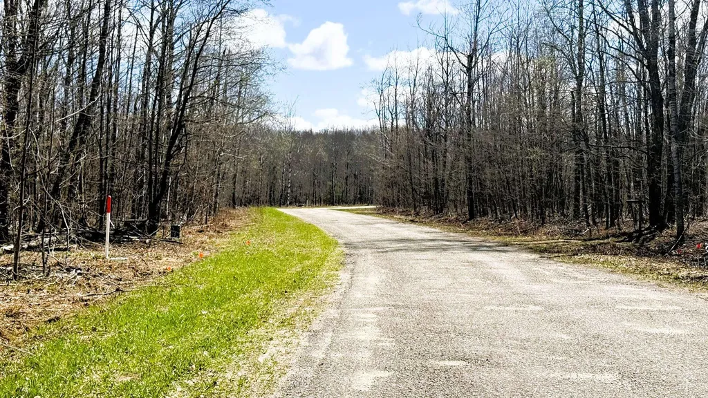 Lot 177 Wyndwood Drive Mancelona Township MI 49659