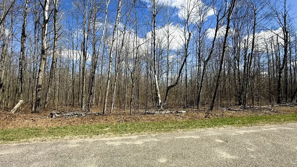 Lot 177 Wyndwood Drive Mancelona Township MI 49659