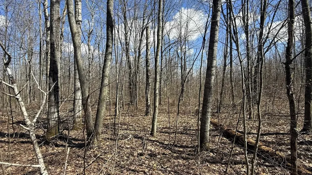 Lot 177 Wyndwood Drive Mancelona Township MI 49659