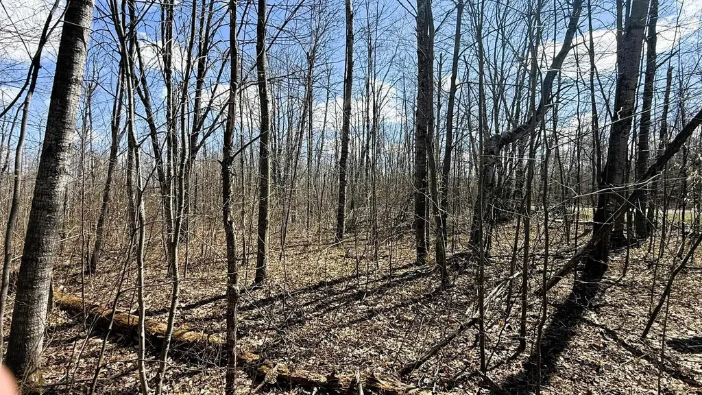Lot 177 Wyndwood Drive Mancelona Township MI 49659