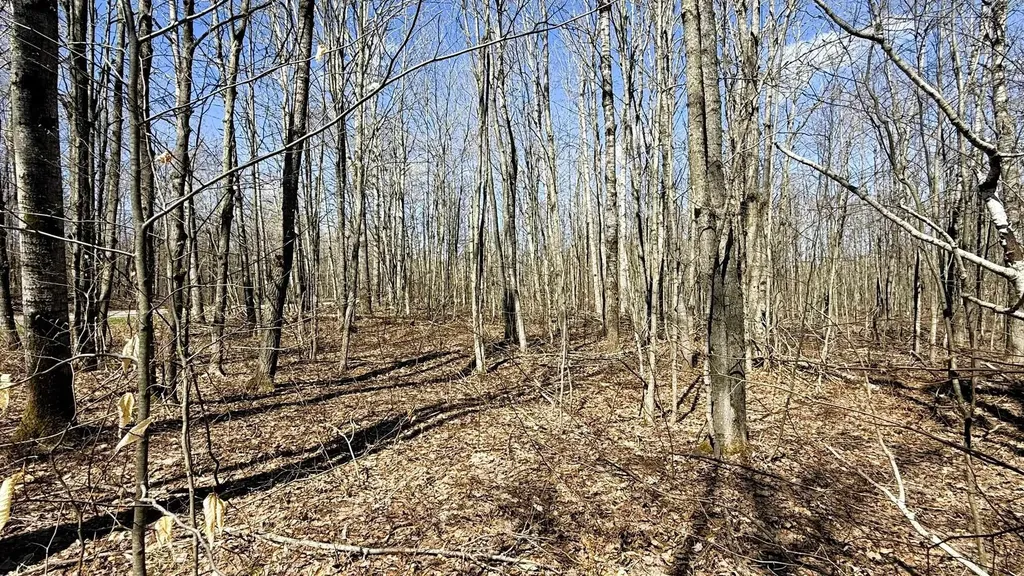 Lot 177 Wyndwood Drive Mancelona Township MI 49659