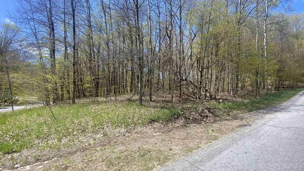 Lot 105-106 East Village Drive Kearney Township MI 49615