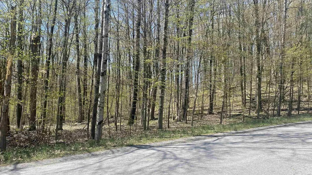 Lot 105-106 East Village Drive Kearney Township MI 49615
