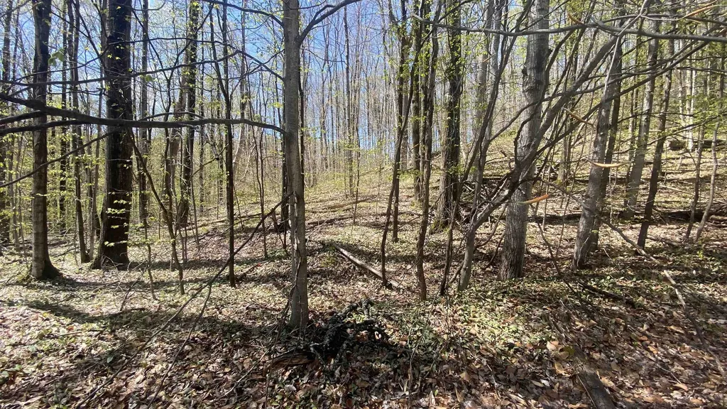 Lot 105-106 East Village Drive Kearney Township MI 49615