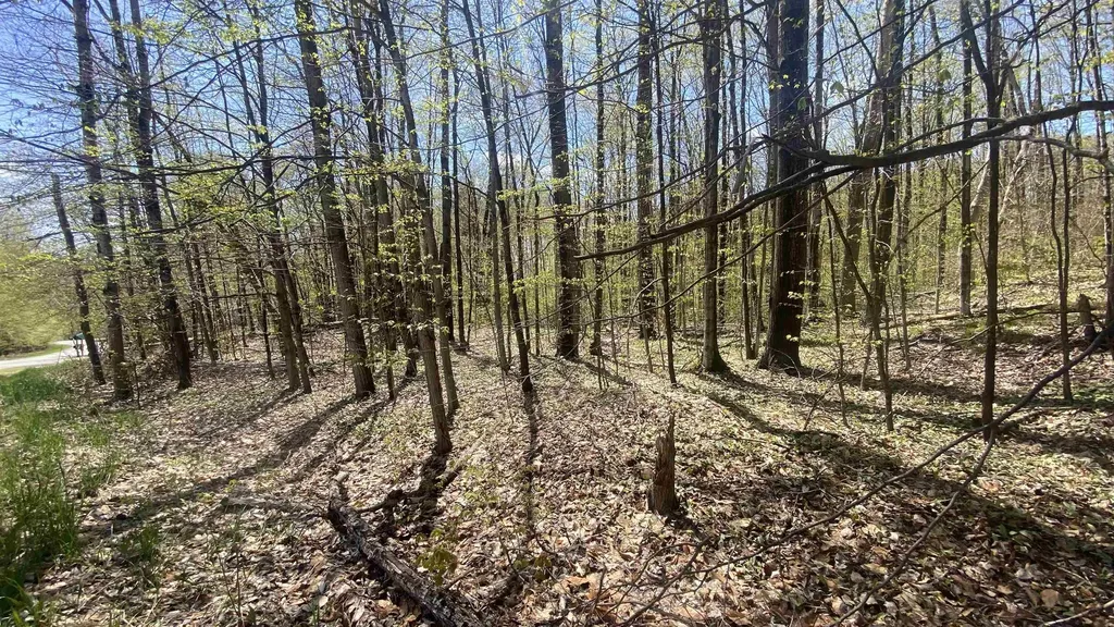Lot 105-106 East Village Drive Kearney Township MI 49615