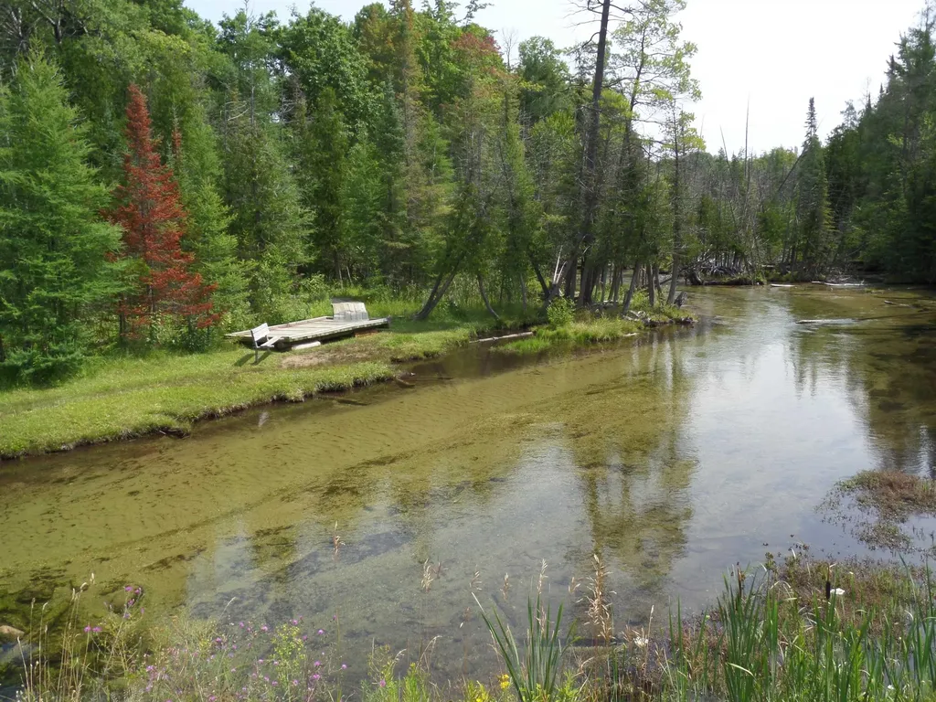Lot 105-106 East Village Drive Kearney Township MI 49615