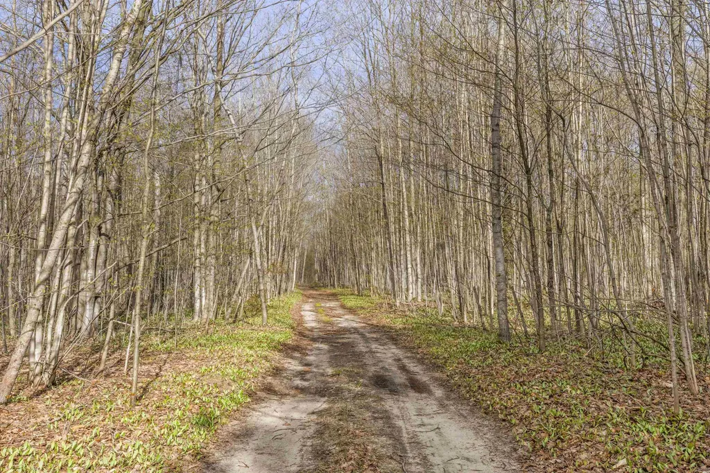0 Love Road Benzonia Township MI 49616