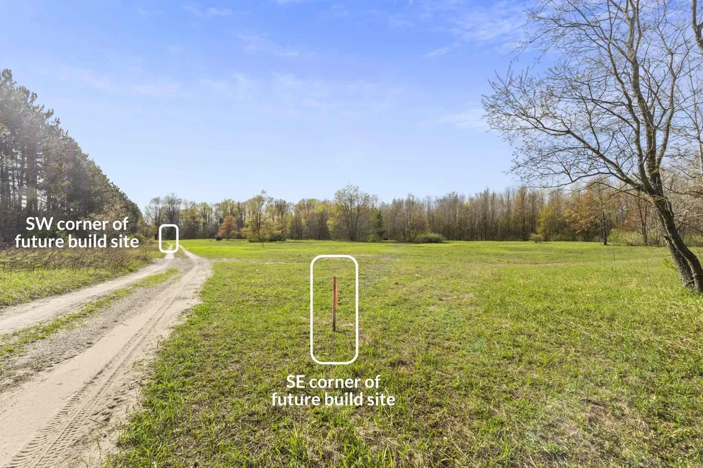 0 Love Road Benzonia Township MI 49616