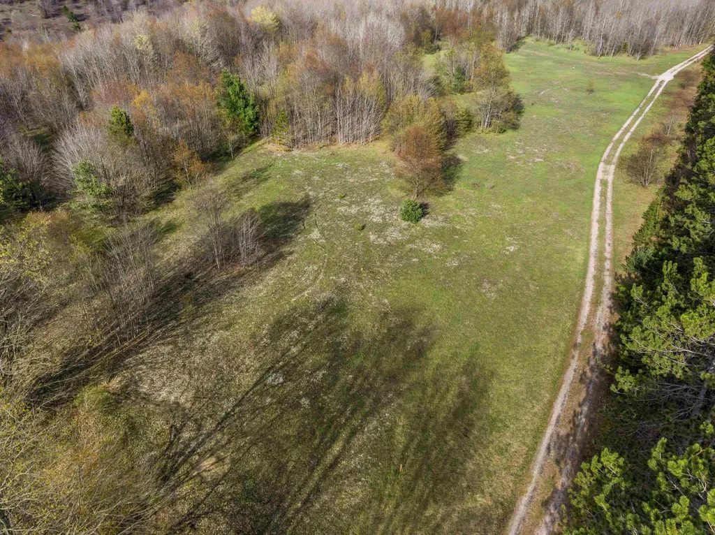 0 Love Road Benzonia Township MI 49616
