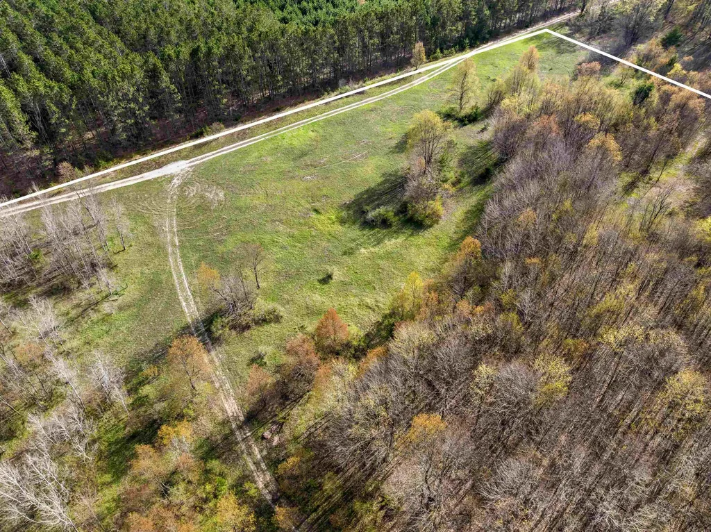0 Love Road Benzonia Township MI 49616
