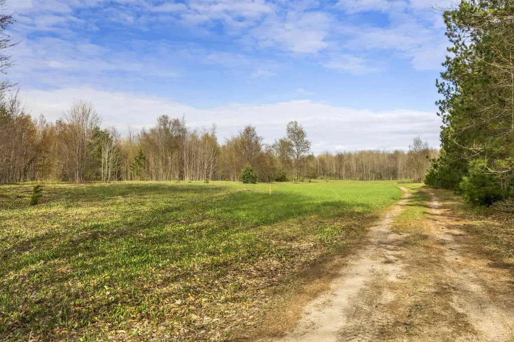 0 Love Road Benzonia Township MI 49616