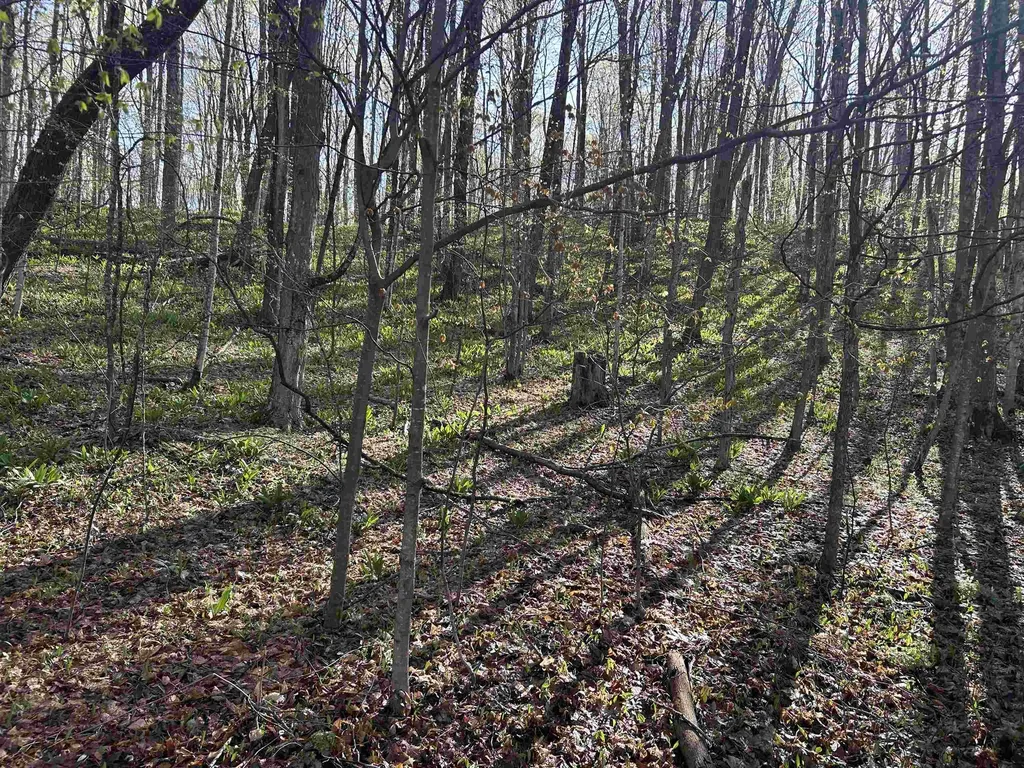 Lot 121 Maromir Court Kearney Township MI 49615