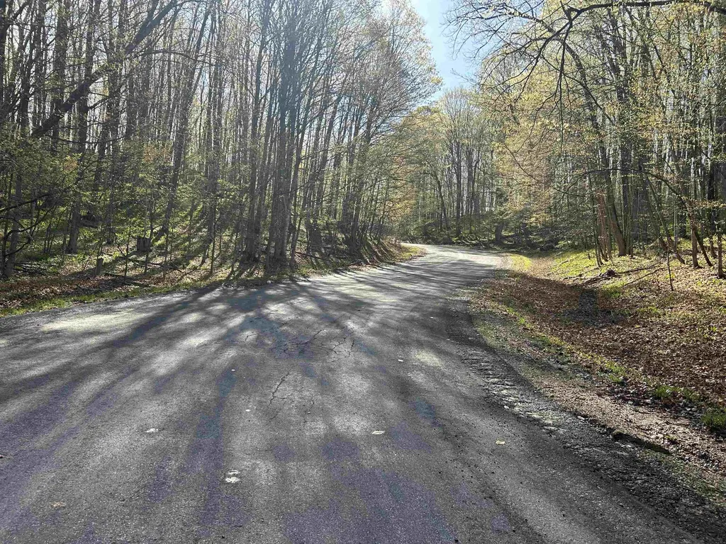 Lot 121 Maromir Court Kearney Township MI 49615