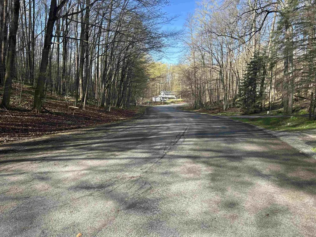 Lot 121 Maromir Court Kearney Township MI 49615