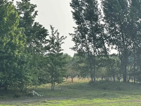 Parcel 10 Karnes Road Empire Township MI 49636