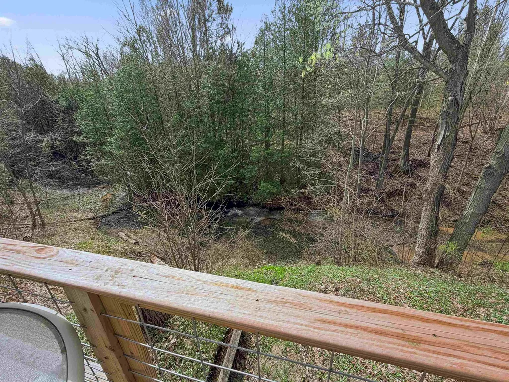 4411 N 11 Road Springville Township MI 49688