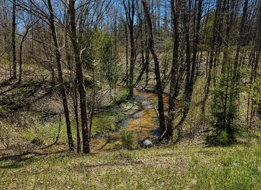 4411 N 11 Road Springville Township MI 49688