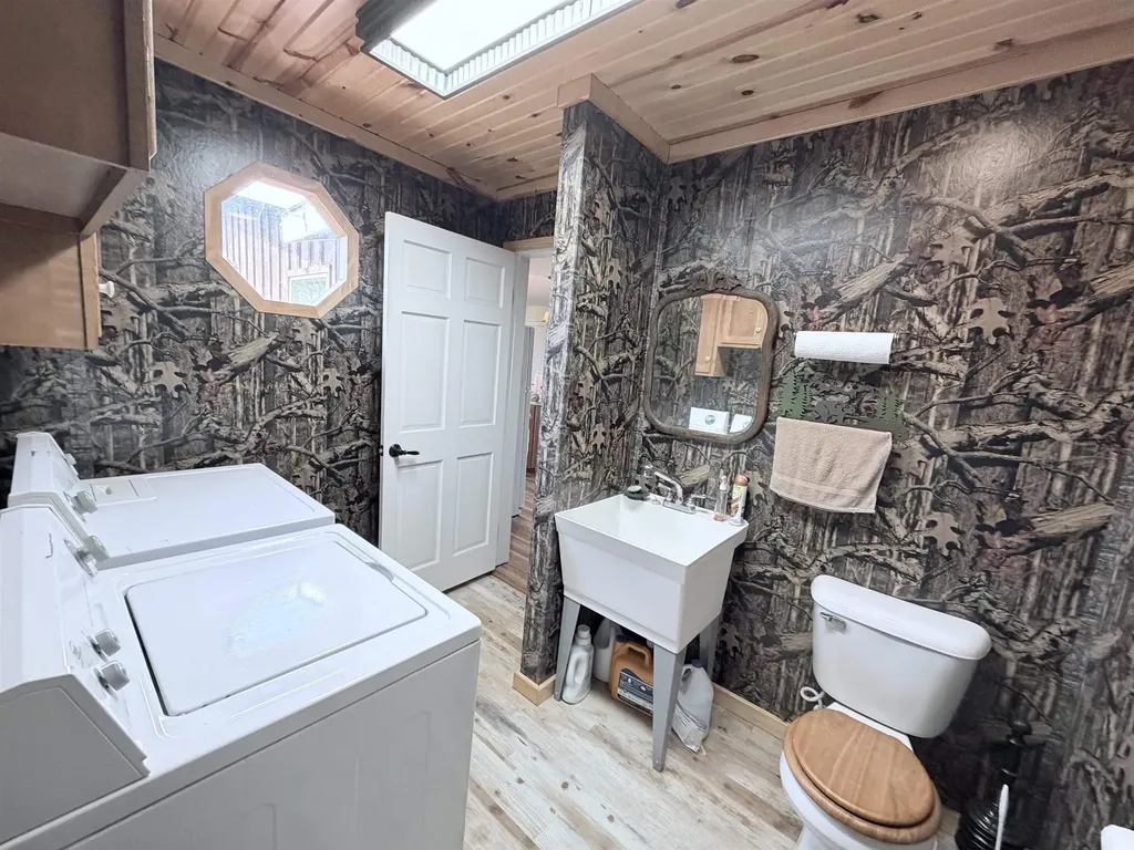 4411 N 11 Road Springville Township MI 49688