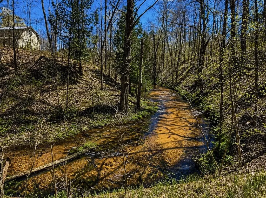 4411 N 11 Road Springville Township MI 49688
