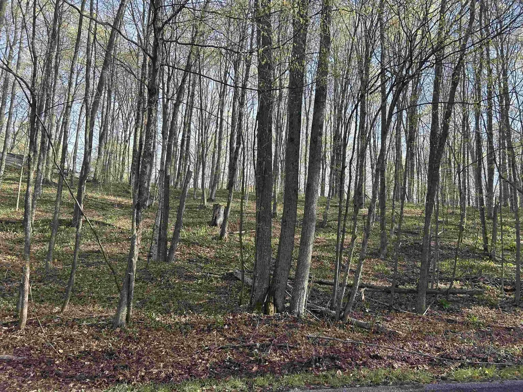Lot 122 Maromir Court Kearney Township MI 49615