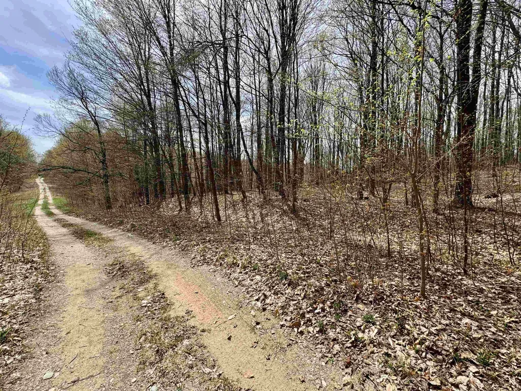 Parcel D Dayhuf Cherry Lane Colfax Township MI 49618
