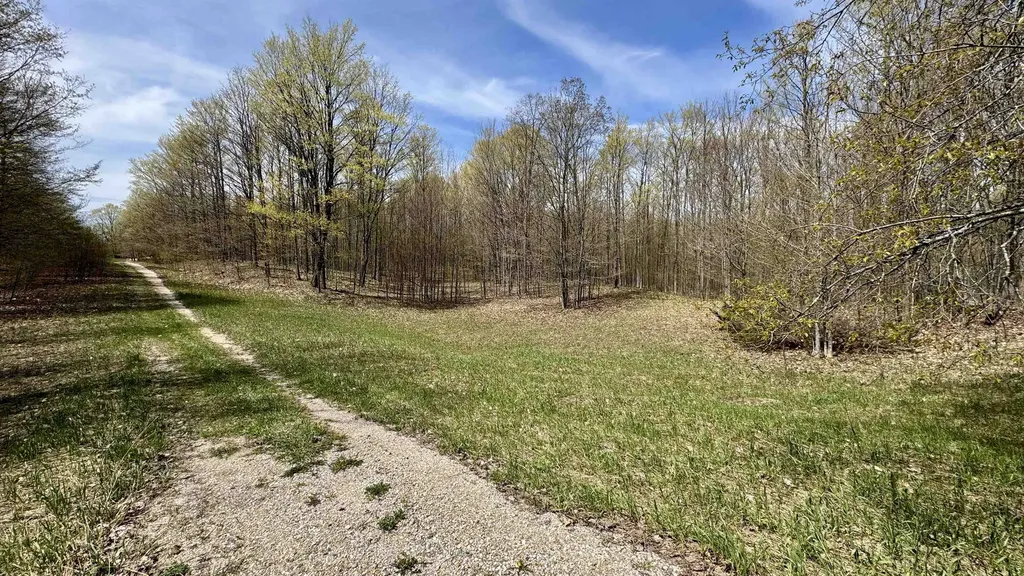 Parcel D Dayhuf Cherry Lane Colfax Township MI 49618