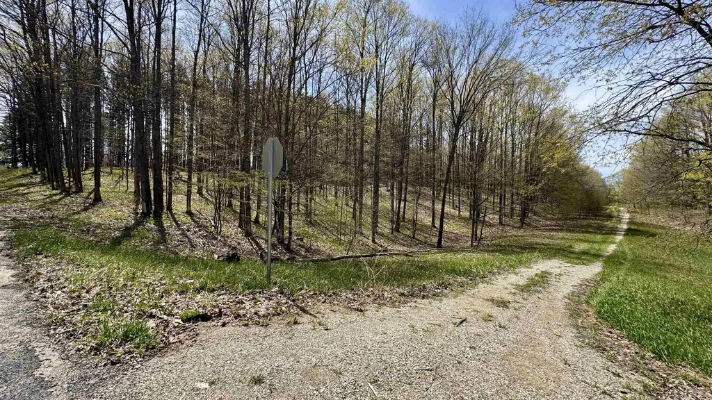 Parcel D Dayhuf Cherry Lane Colfax Township MI 49618