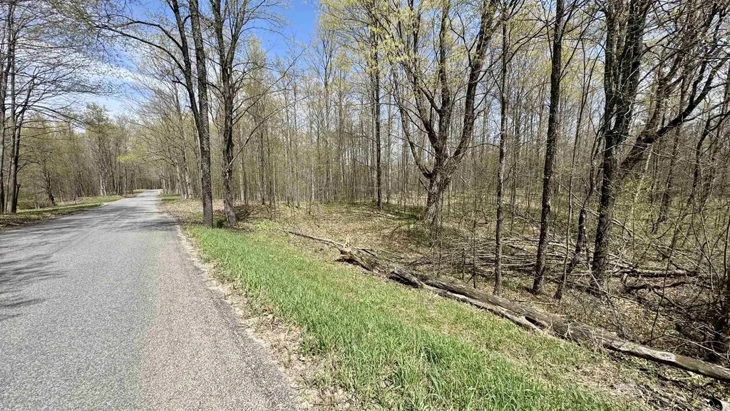 Parcel D Dayhuf Cherry Lane Colfax Township MI 49618