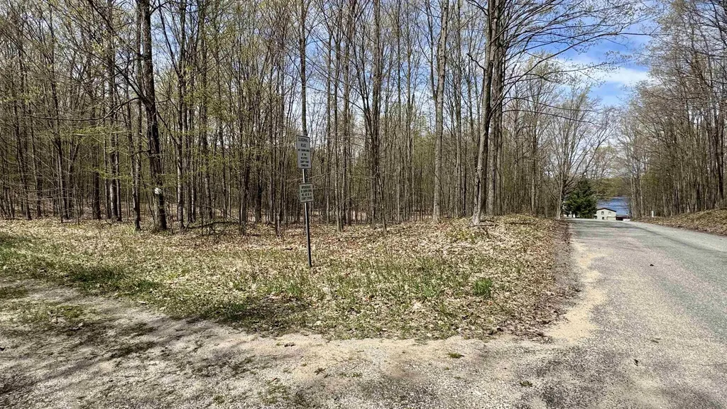Parcel D Dayhuf Cherry Lane Colfax Township MI 49618