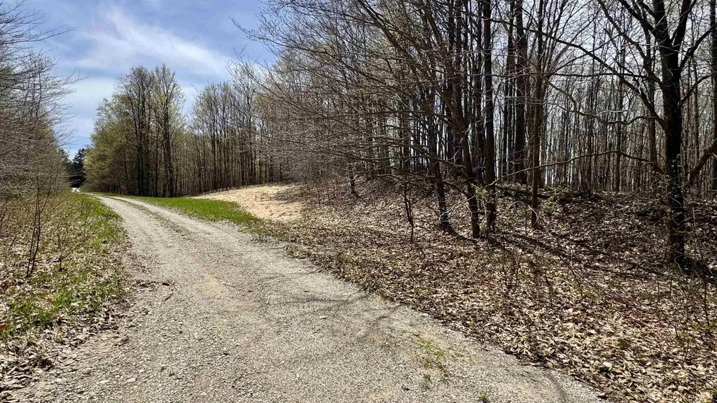 Parcel D Dayhuf Cherry Lane Colfax Township MI 49618