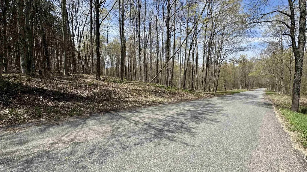 Parcel F Dayhuf 27 Mile Road Colfax Township MI 49618